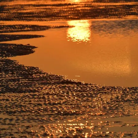 Haus Nordseebrandung Nc56 Appartamento *