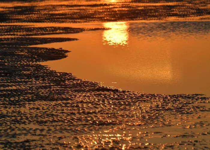 Haus Nordseebrandung Nc56 公寓 *